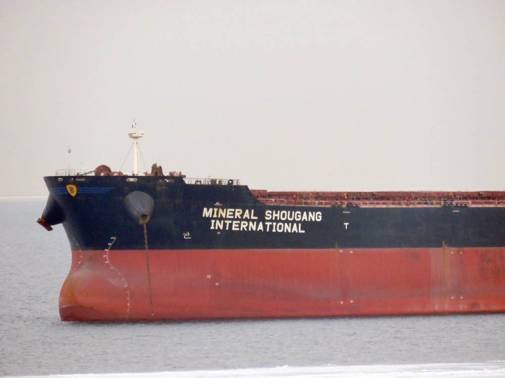Mineral Shougang International