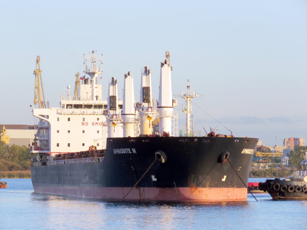 Aphrodite M, IMO 9450832, Call sign V7SN9, Universal bulkers, Photo #11 Aphrodite M