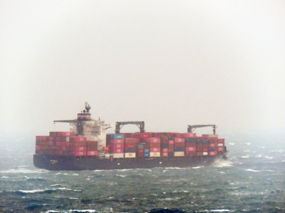 NYK Paula