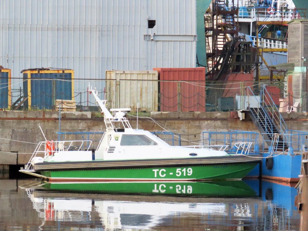 TS-519