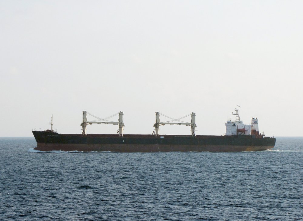 Arctic Voyager