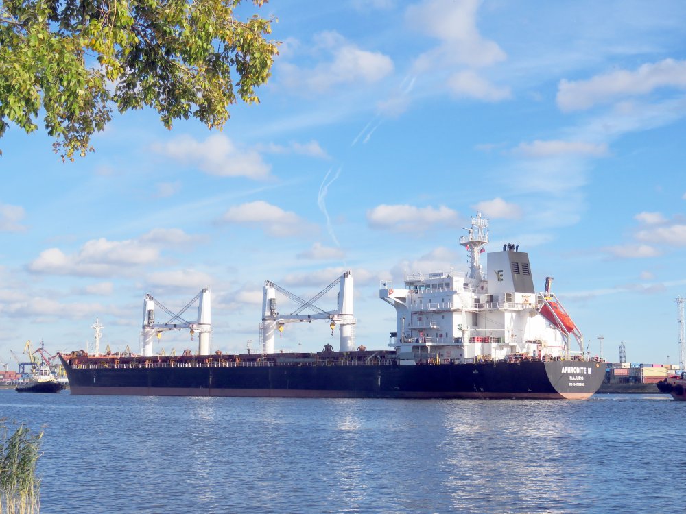 Aphrodite M, IMO 9450832, Call sign V7SN9, Universal bulkers, Photo #8 Aphrodite M