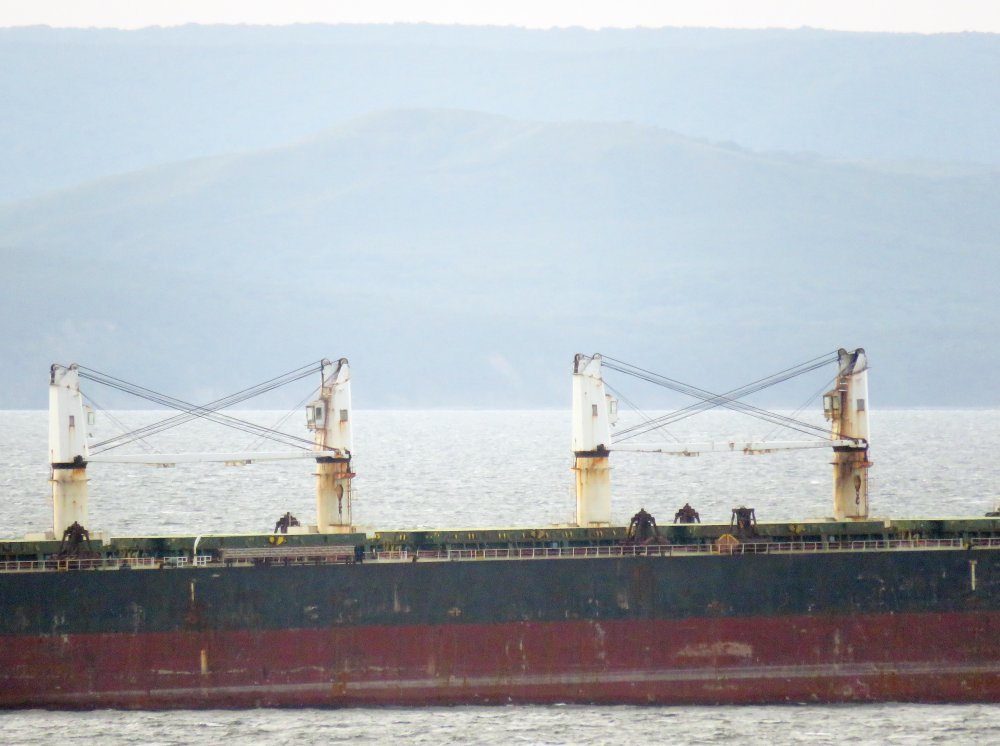 Densa Eagle