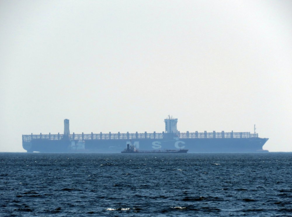MSC Leanne