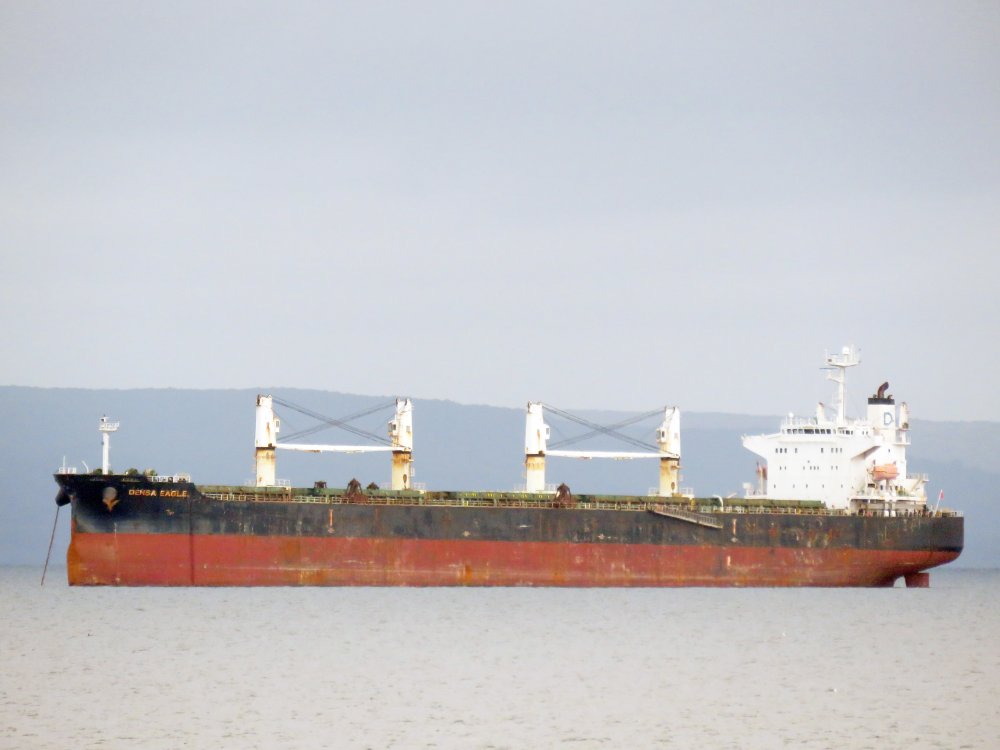 Densa Eagle