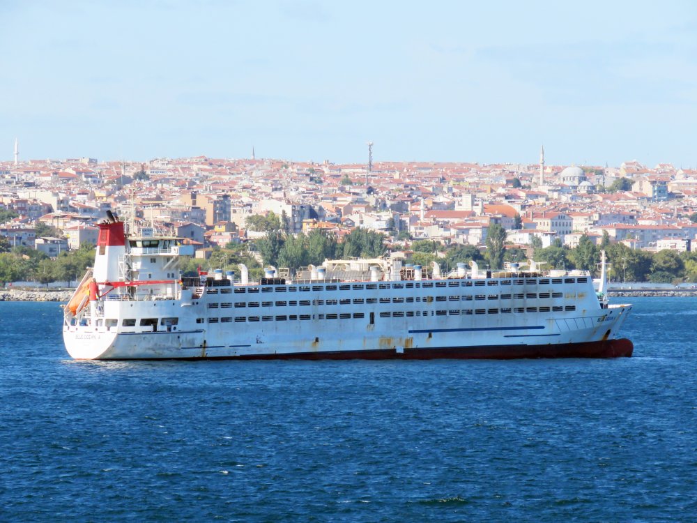 Blue Ocean A