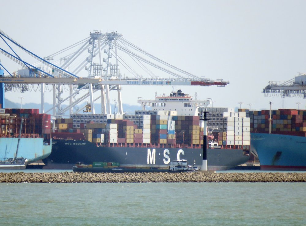 MSC Romane