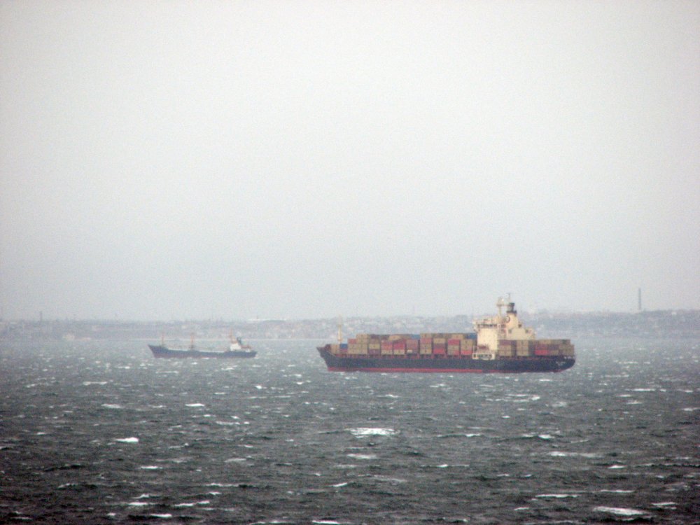MSC Freedom