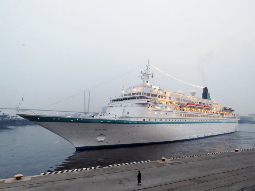 Albatros