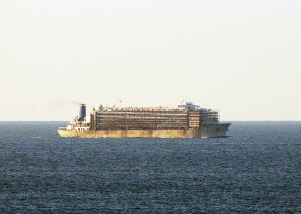 Almawashi