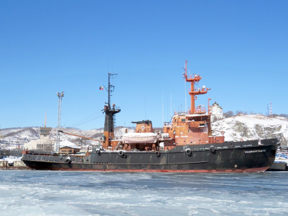 Kaliningradets