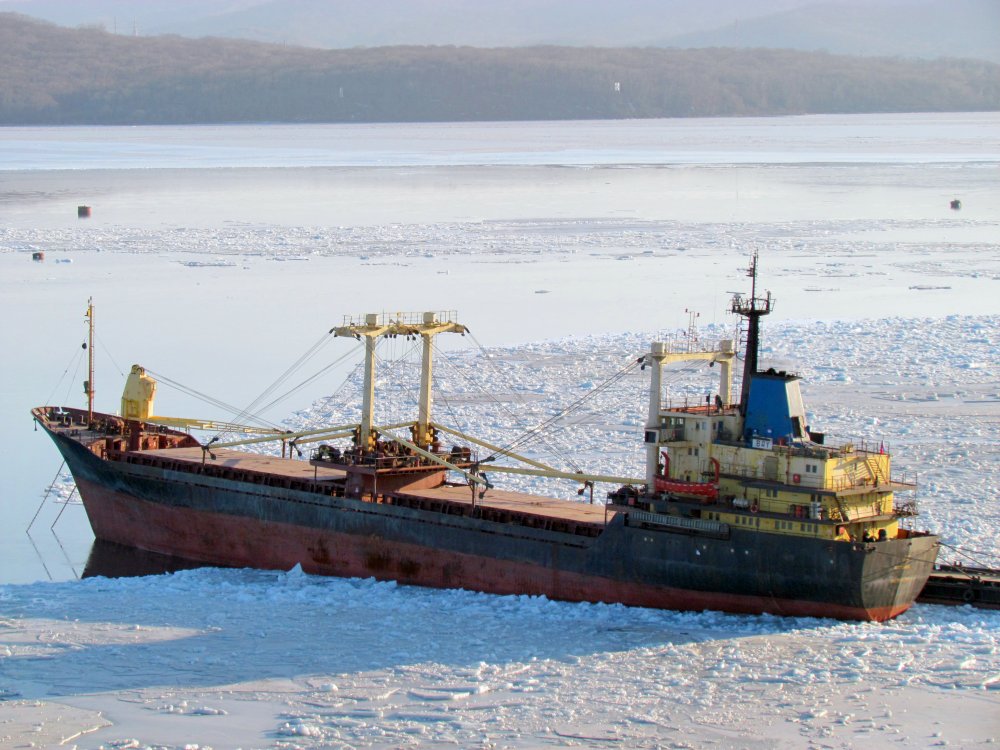 Bay