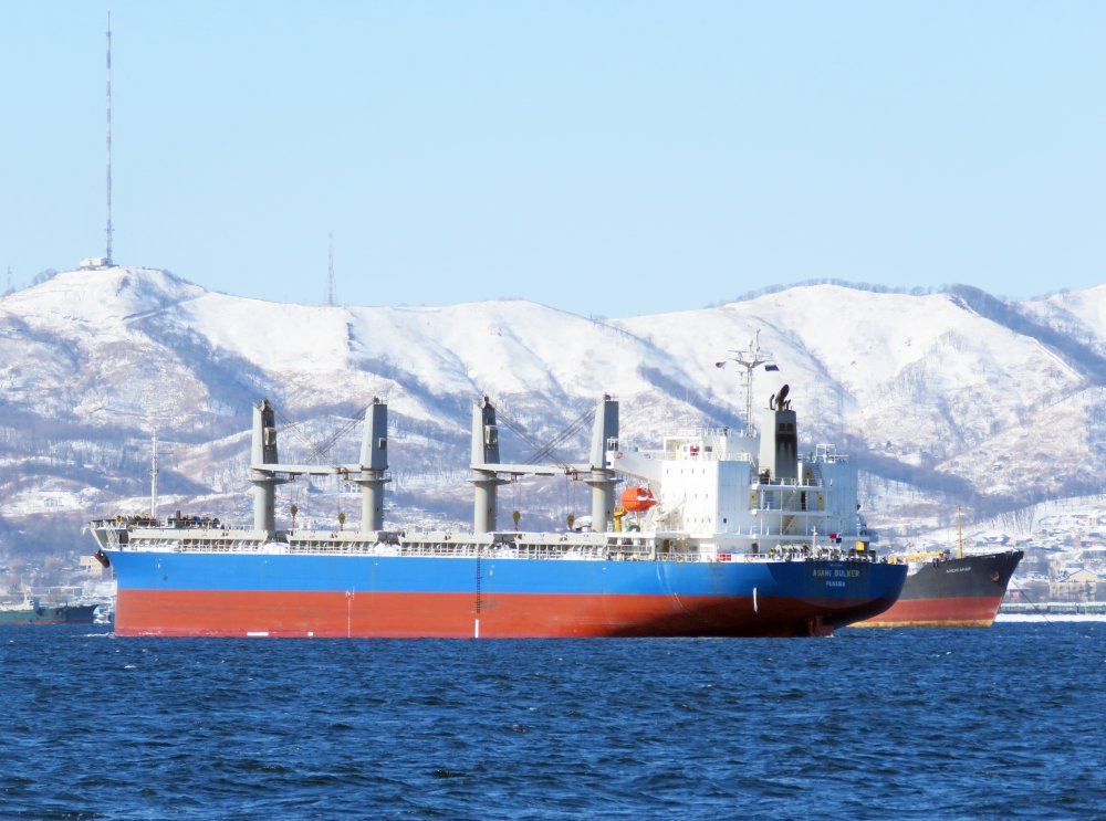 Asahi Bulker