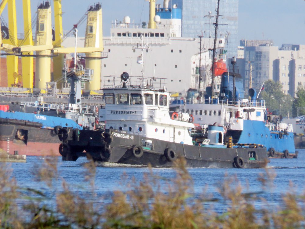 Reydoviy-5