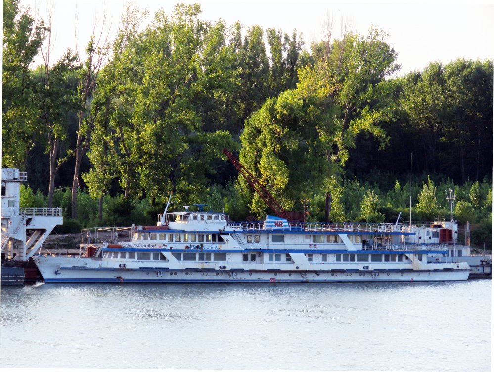 Vrancea