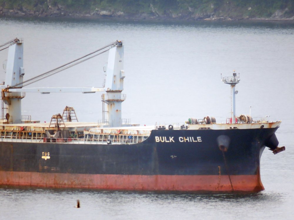 Bulk Chile