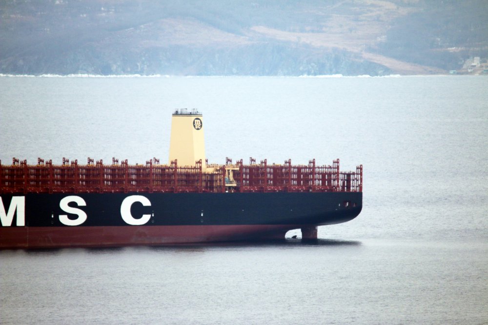 MSC Tina