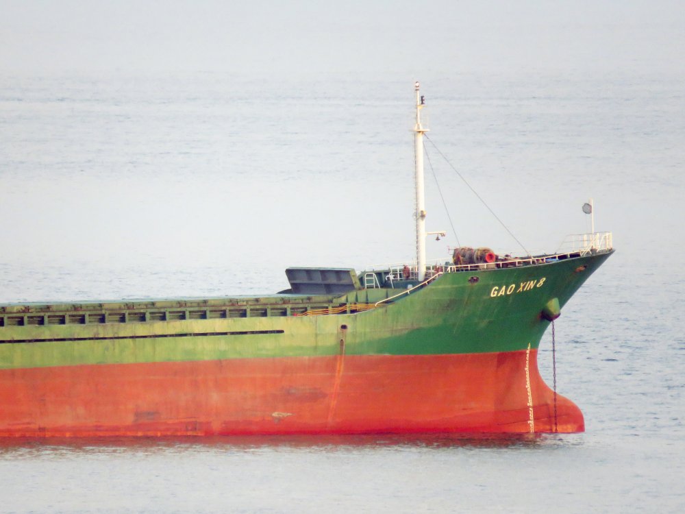 Gao Xin 8