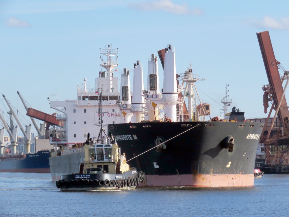 Aphrodite M, IMO 9450832, Call sign V7SN9, Universal bulkers, Photo #4 Aphrodite M