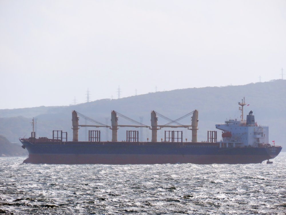 Blue Cecil