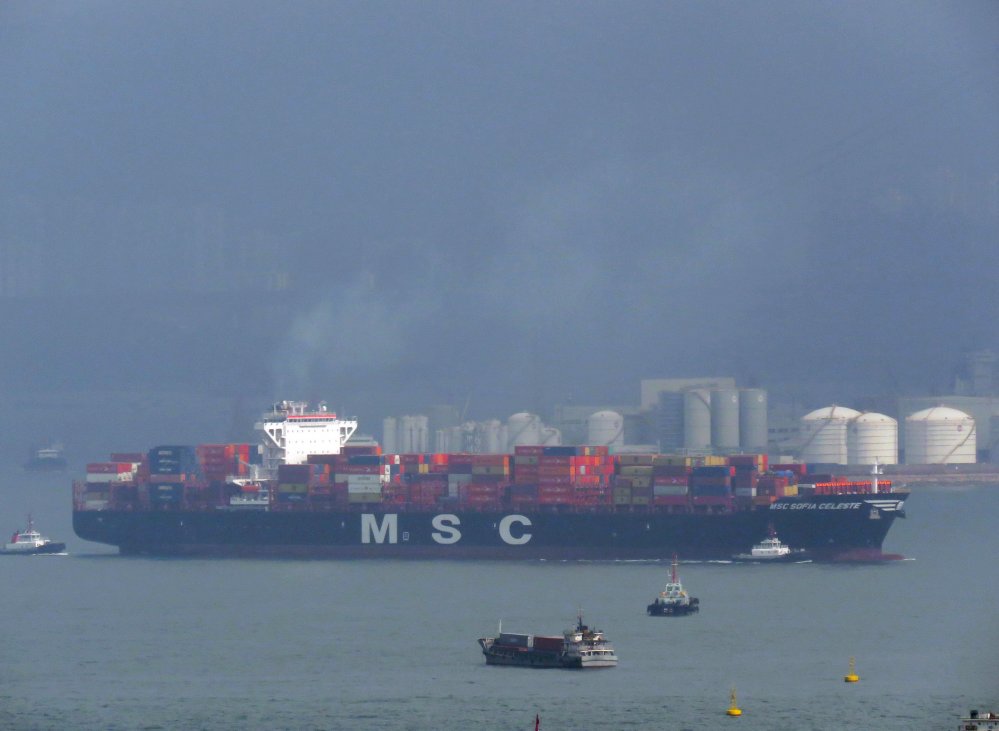 MSC Sofia Celeste