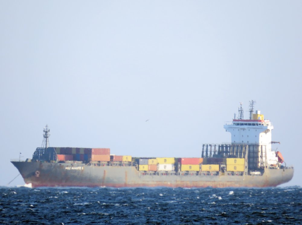 MSC Makoto II