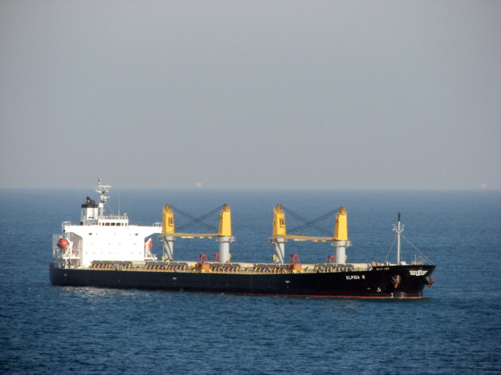 Elpida S
