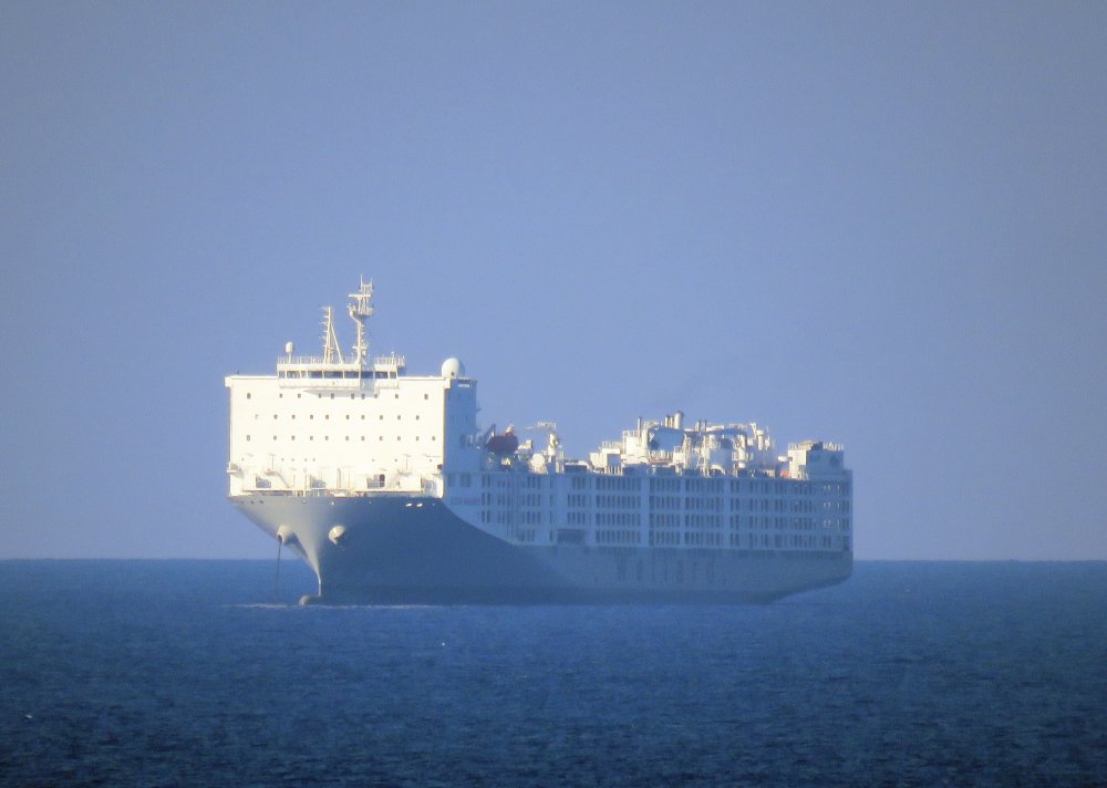 Ocean Shearer