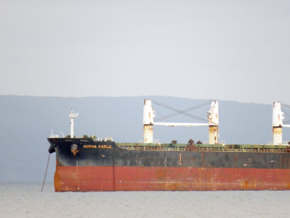 Densa Eagle