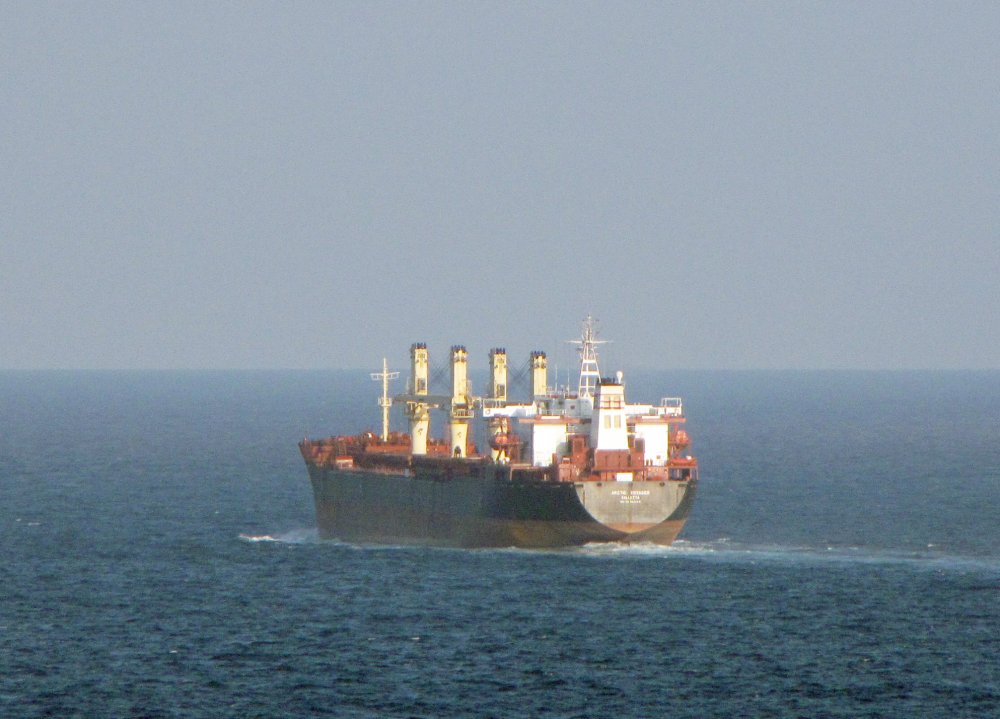 Arctic Voyager