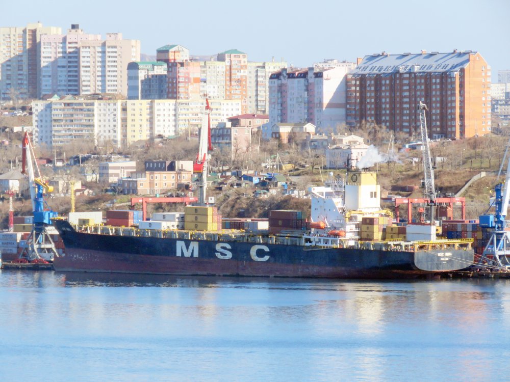 MSC Imma