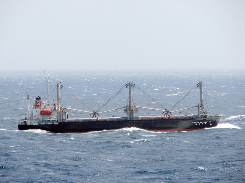 Timber Trader IX
