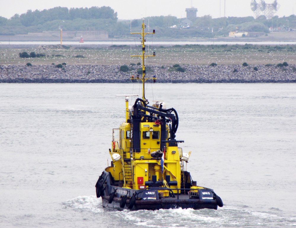 RPA 15