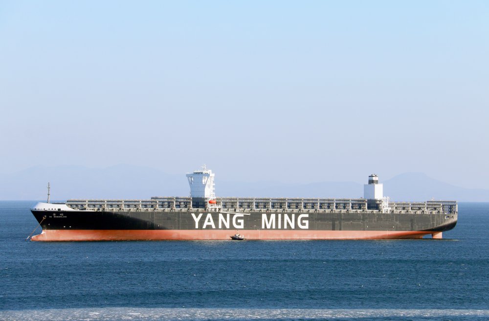 YM Wonderland