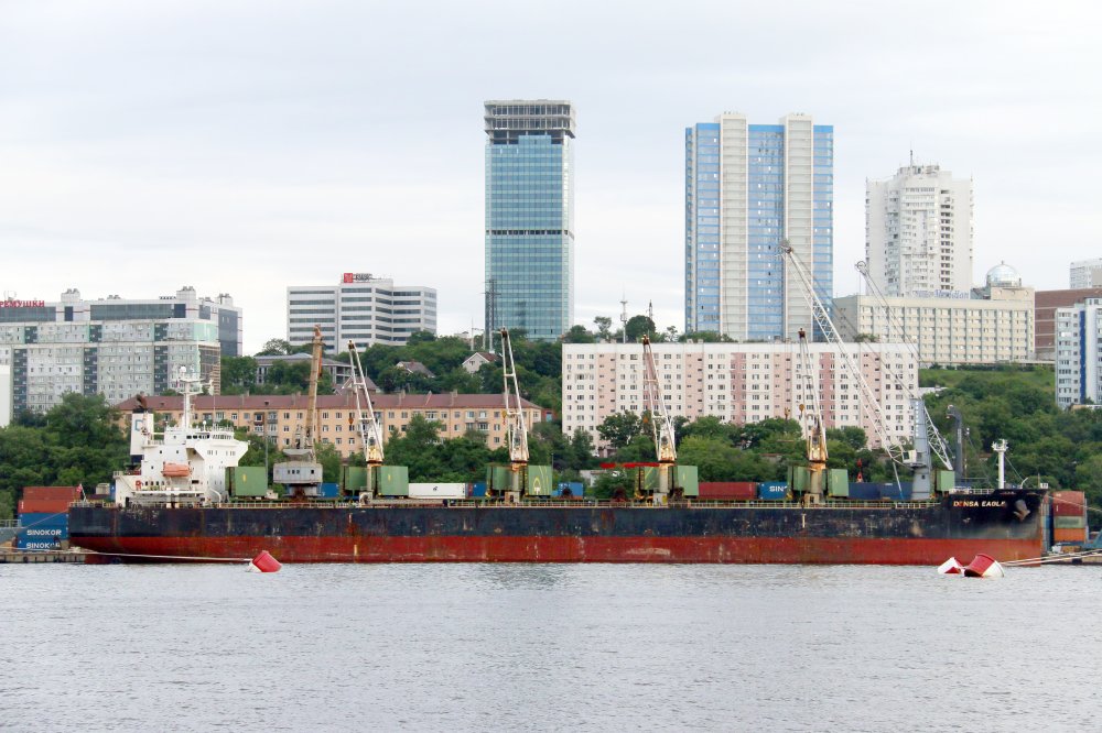 Densa Eagle