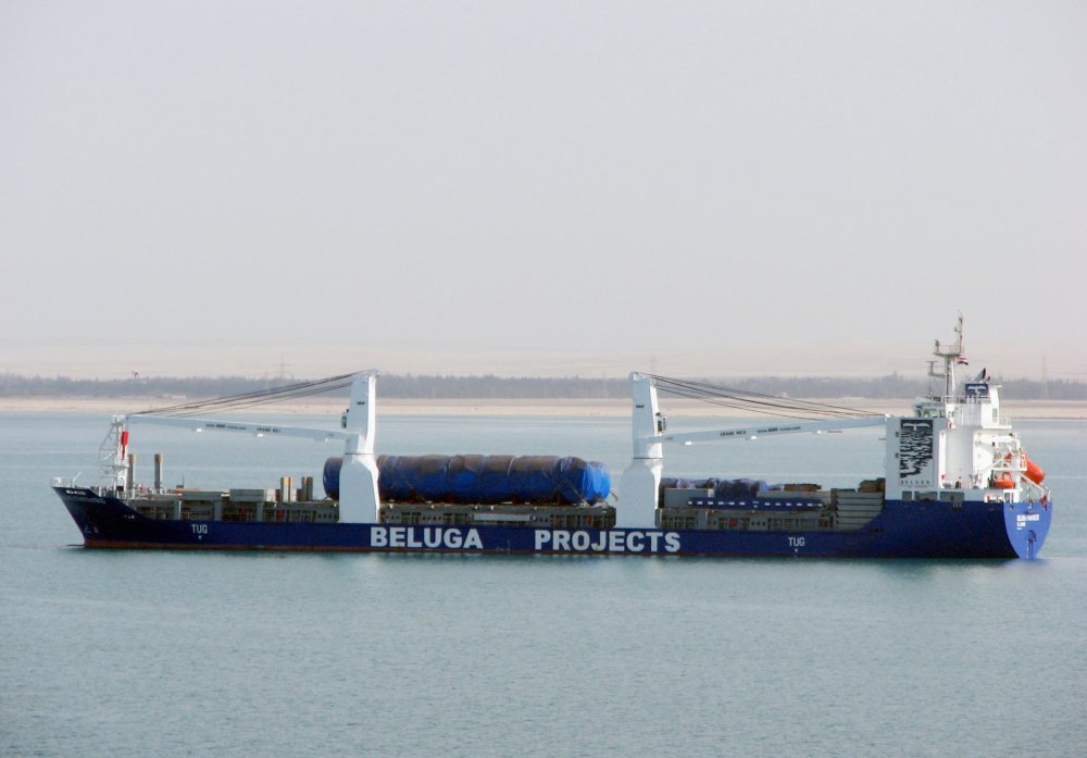 Beluga Fantastic