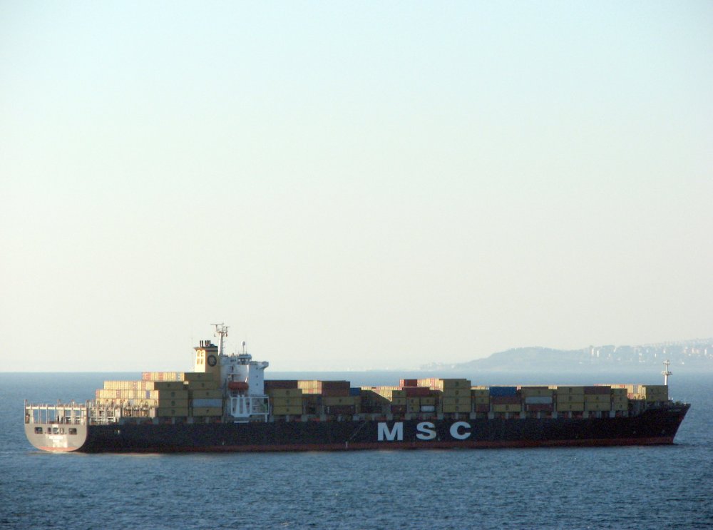 MSC Eugenia