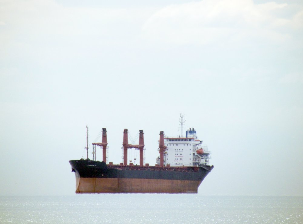 Carbon M