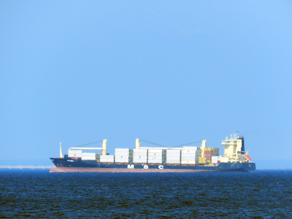 MSC Kayla