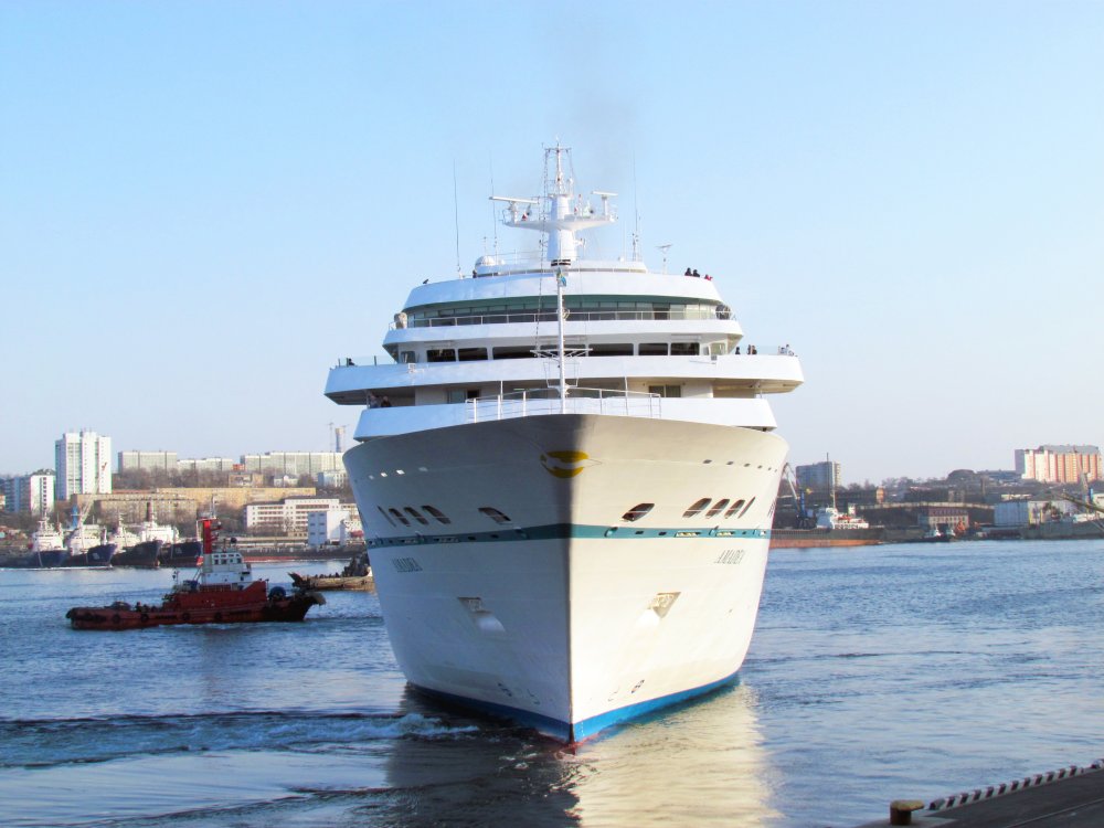 Amadea