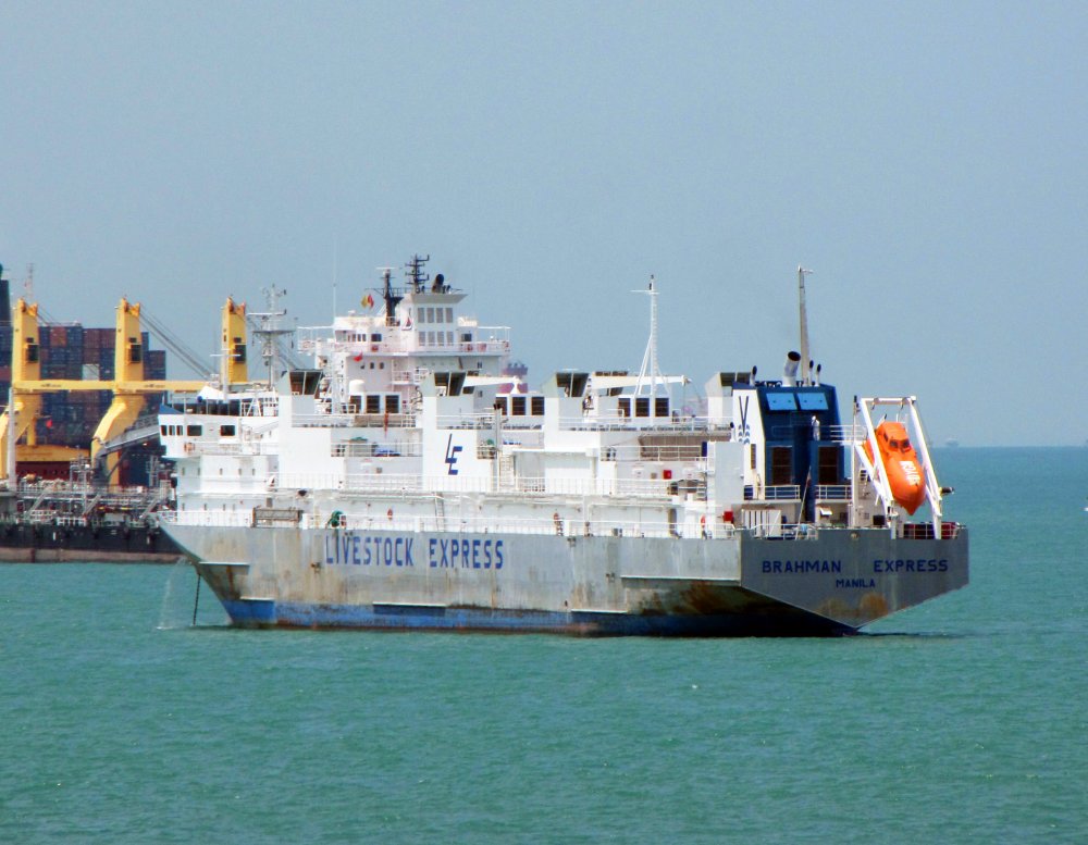 Brahman Express