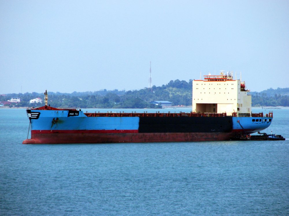 MSC Tia