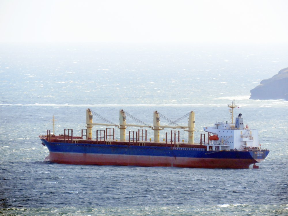 Blue Cecil