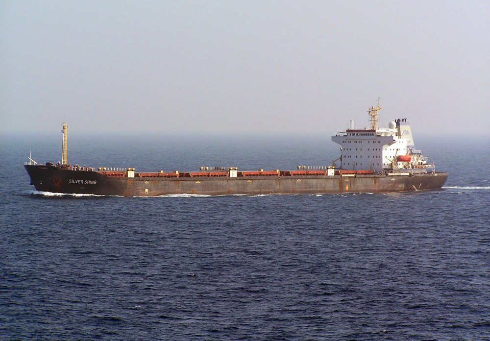 Silver Shing