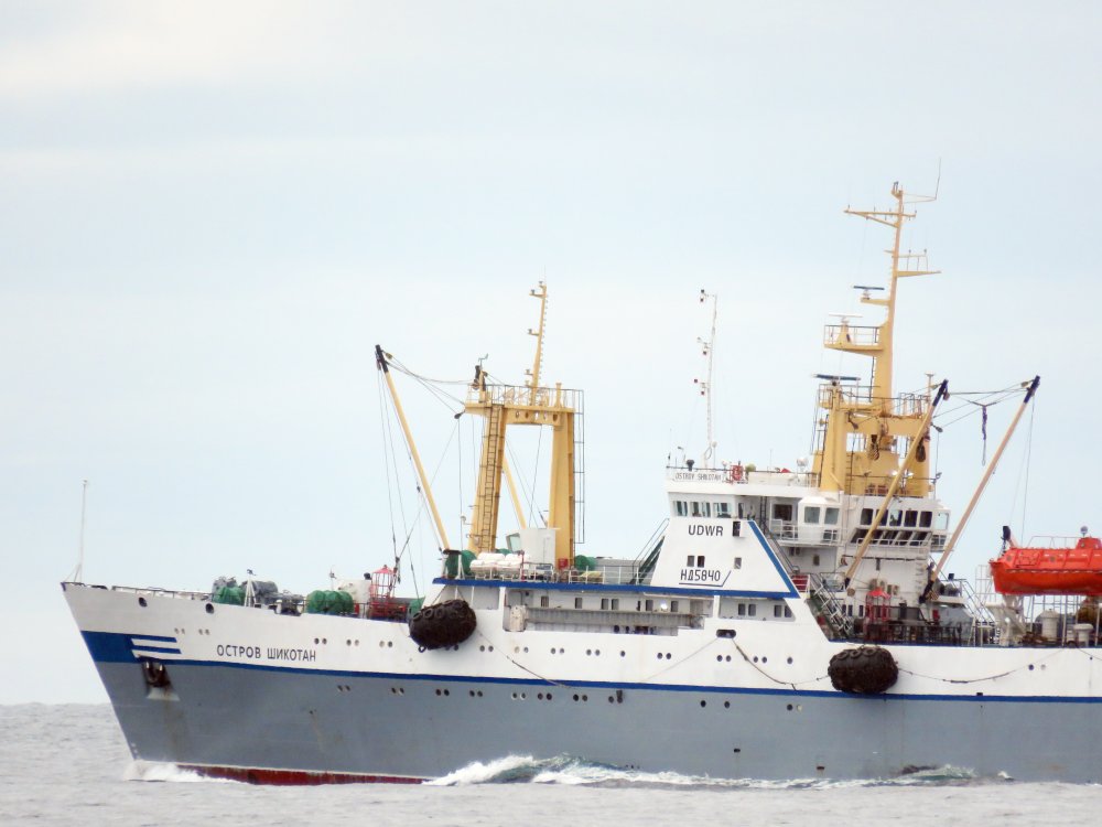 Ostrov Shikotan