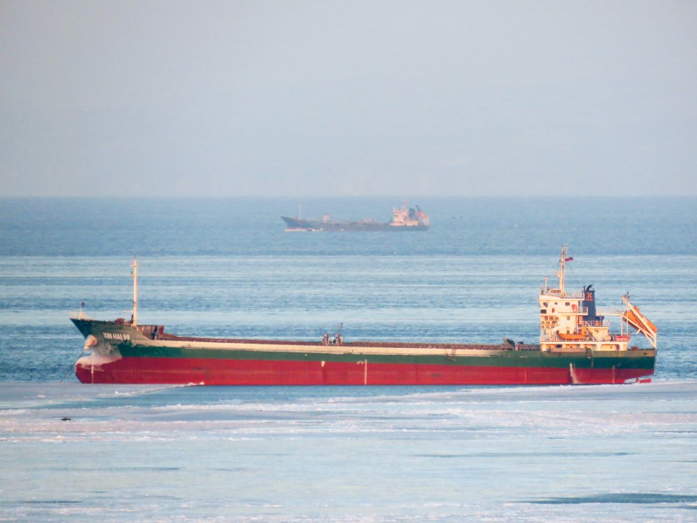 Xin Hai 99
